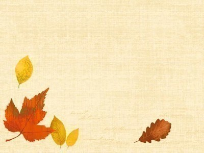 duni_dunicel-tischsets-_30x40_cm-_autumn_floral