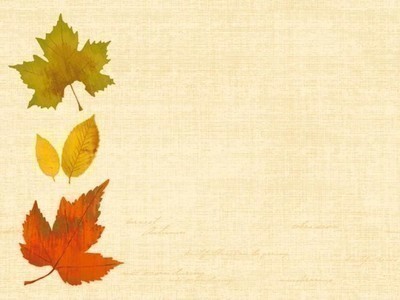 duni_papier-tischsets-_30x40_cm-_autumn_floral